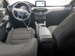 Ford Escape Active 2024 7