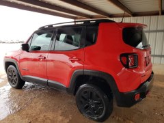 Jeep Renegade Trailhawk 2018 5