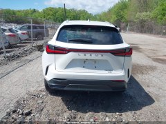 Lexus NX350 Premium 2022 5