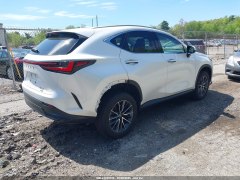Lexus NX350 Premium 2022 4
