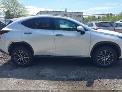 Lexus NX350 Premium 2022 3