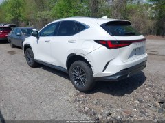 Lexus NX350 Premium 2022 6
